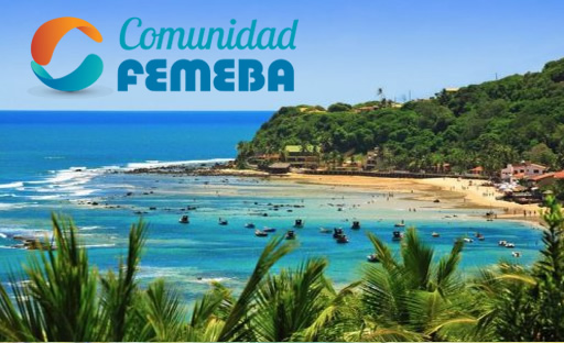 FEMEBA