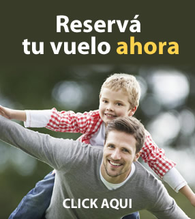 Boton Vuelos