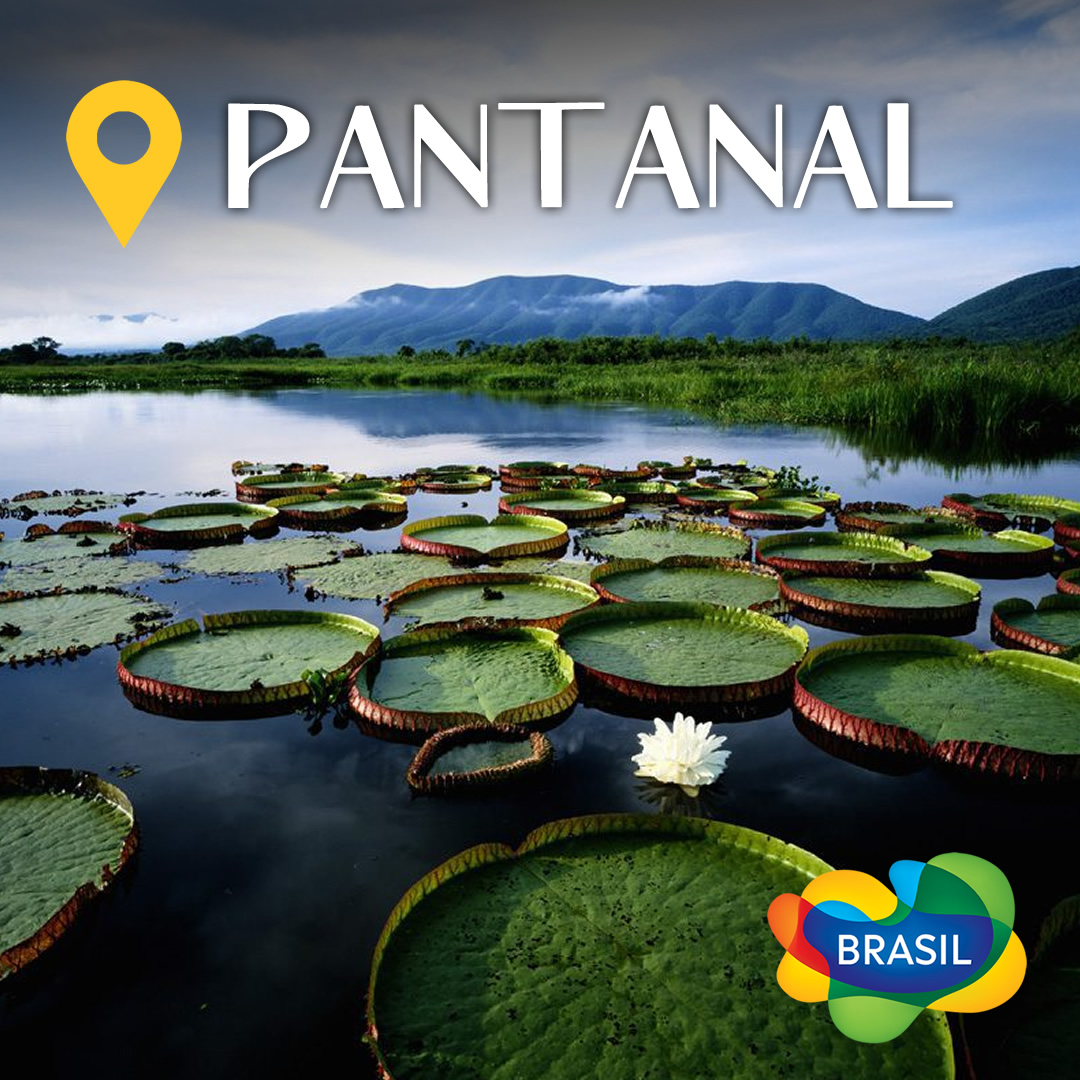 Pantanal
